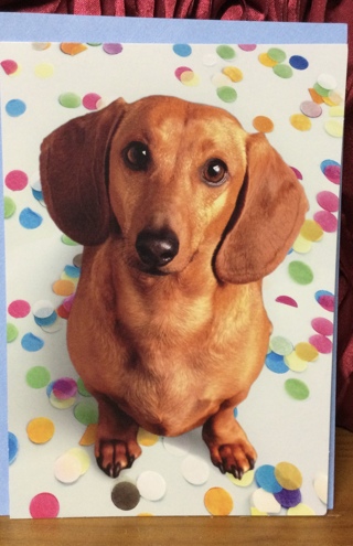 Wiener Dog Congrats Card