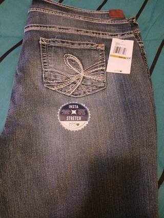 Womens NWT Wallflower Jeans