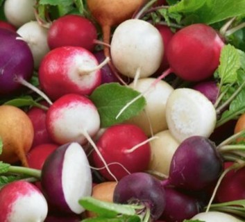 Another Gourmet Blend of Radishes