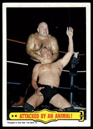 1985 Topps WWF Pro Wrestling Stars #37 Attacked By An Animal!