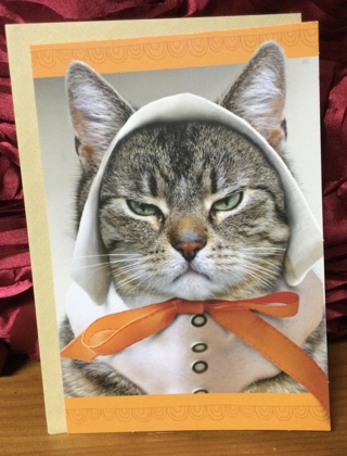 Frowning Cat Pilgrim Thanksgiving Card