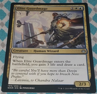 MTG ✨ Elite Guardmage - (U) 195/264 War of the Spark (WAR) ✨ Magic the Gathering (2019)