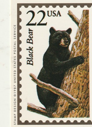 Vintage Wildlife America Collector/Trade Card: Black Bear