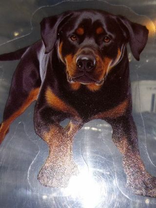 Dog Cool new one clear lab top sticker no refunds regular mail high quality!