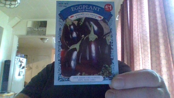 egg plant seeds -black beauty