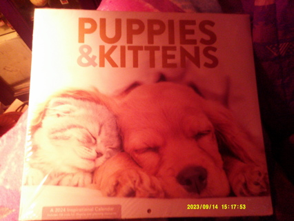 puppies and kittens calendar