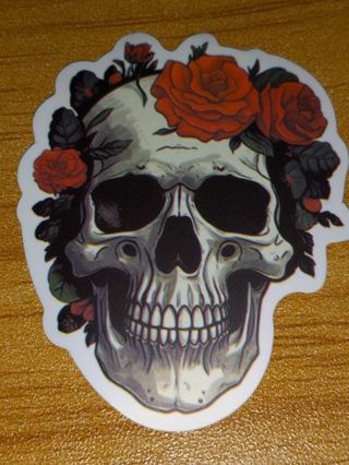 Cool nice 1⃣ vinyl sticker no refunds regular mail only Very nice quality!