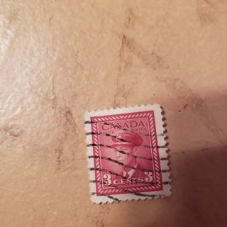 stamp