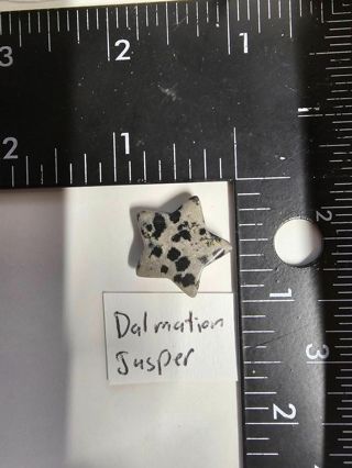 Dalmatian Jasper Crystal/Healing stone Star Shape