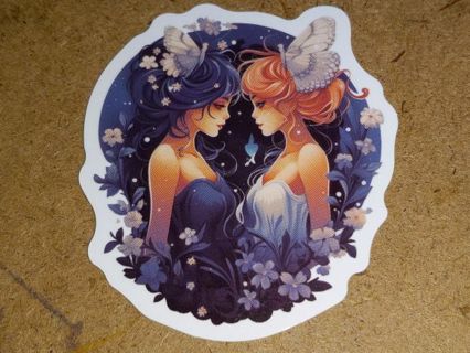 Fairy new one vinyl lap top sticker no refunds regular mail very nice quality