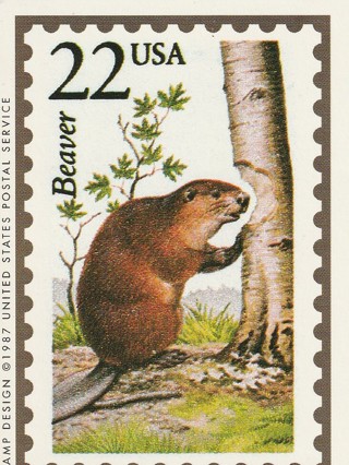 Vintage Wildlife America Collector/Trade Card: Beaver