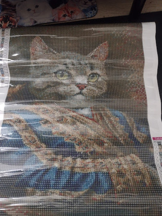 Diamond Painting Kit - Cat with Blue Coat