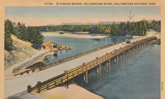 Vintage Used Postcard: g: 1940 Fishing Bridge, Yellowstone