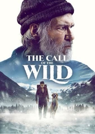 THE CALL OF THE WILD HD GOOGLE PLAY CODE ONLY (PORTS)