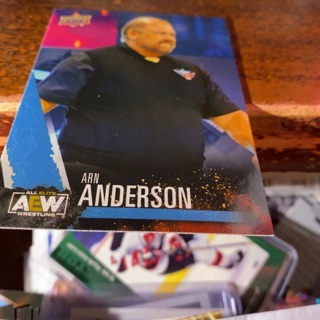 2021 upper deck first edition aew arn Anderson wrestling card 