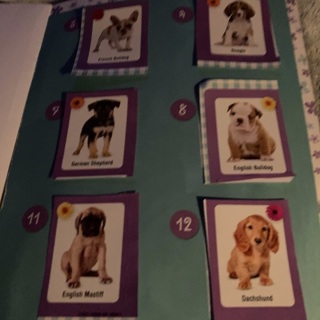Puppy stickers Winner picks choice 