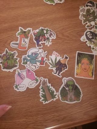 2 pc random leaf vinyl sticker lot