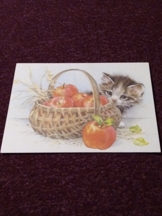 Notecard - Apple Basket Kitten