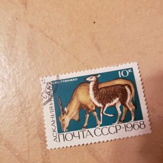 stamp