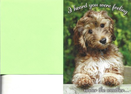 Brand New Never Been Used Get Well Greeting Card With Envelope 