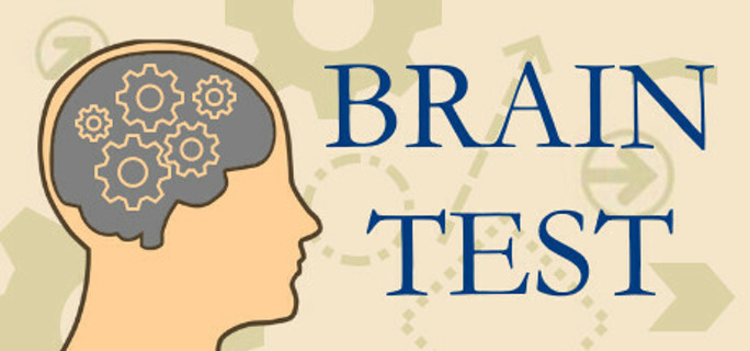 Brain Test (Steam Key)
