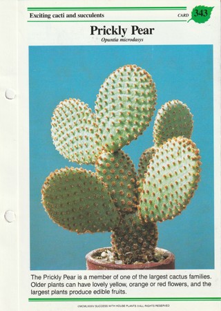 Success with Plants Leaflet: Cacti: Prickly Pear