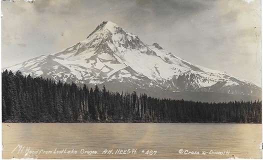 Estate Find 100+ years old Postcard Mt. Hood from Lost Lake Oregon