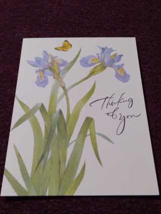 Get Well Card - Thinking of you