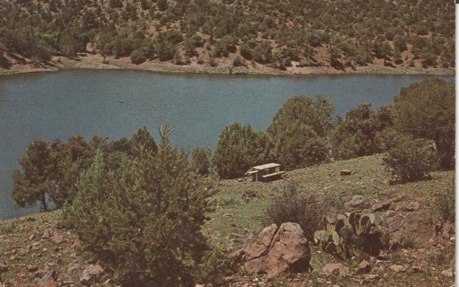 Vintage Used Postcard: gin: 1975 Bear Canyon Lake, NM