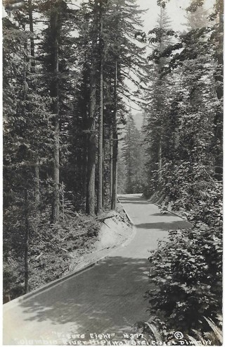 Estate Find 100+ years old Postcard Columbia River Highway, Oregon