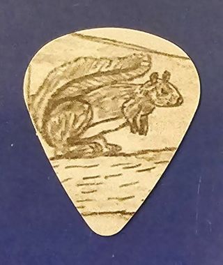 One Squirrel Guitar Pick