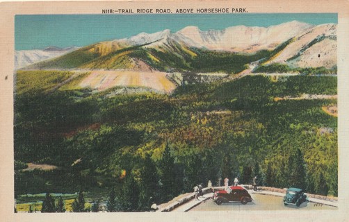 Vintage Unused Postcard: x: Trail Ridge Rd, Colorado