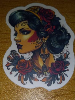 Cool new one vinyl lap top sticker no refunds regular mail very nice quality