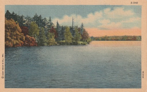 Vintage Used Postcard: gin: Linen: Lake Scene