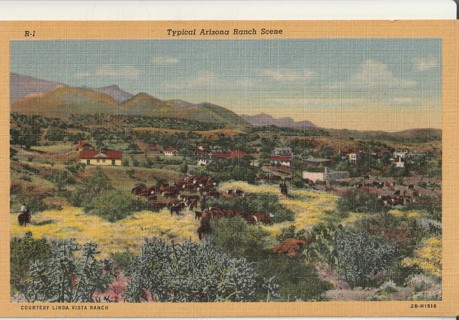 Vintage Unused Postcard: t: Linen: Arizona Ranch Scene