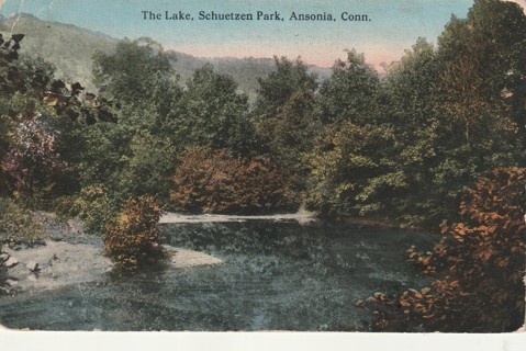 Vintage Used Postcard: 1915 The Lake, Schuetzen Park, Ansonia, CT