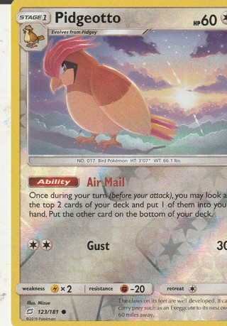 Pokemon Card: Pidgeotto