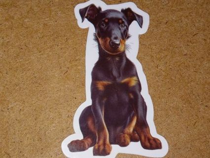 Dog 1⃣ nice vinyl sticker no refunds regular mail only Very nice quality!