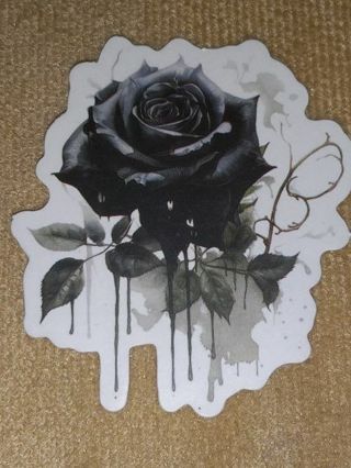 Beautiful 1⃣ vinyl sticker no refunds regular mail only Very nice quality! Win 2 or more get extra