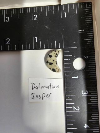 Dalmatian Jasper Crystal/Healing stone Moon Shape