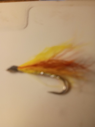 Fishing Fly