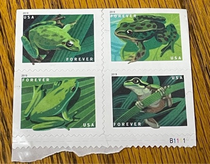 8 Forever Stamps Cute Frogs