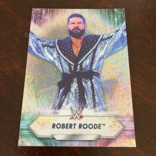 2021 Topps WWE - [Base] - Silver Foilboard #160  Robert Roode