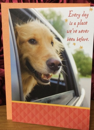 Golden Retriever Birthday Card