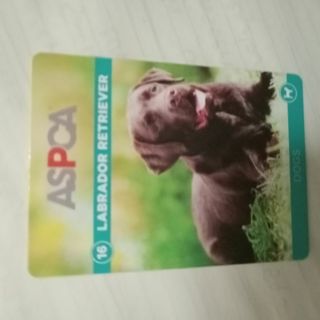 ASPCA Trading Card