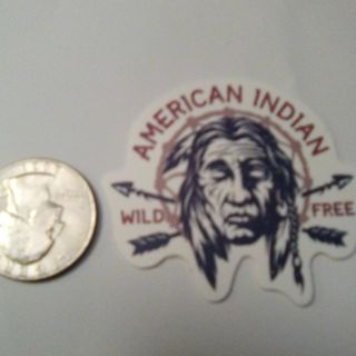 Indigenous American Indian Sticker Read description before bidding