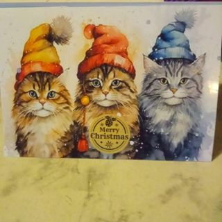 Merry Christmas Cats - Design Note Card