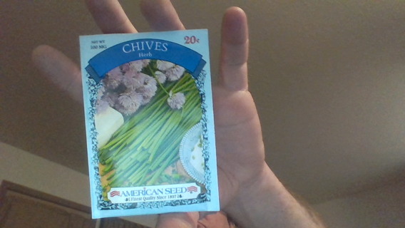 chives herb