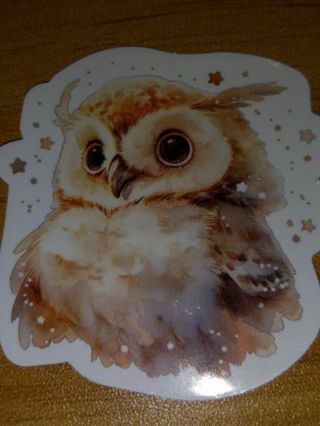 Owl nice 1⃣ big vinyl sticker no refunds regular mail only Very nice quality!