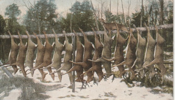 Vintage Used Postcard: 1912 Scene near Brinsmade ND